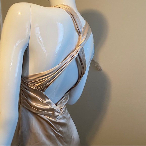 Nicole Miller Champagne Floor Length Dress - Picture 2 of 14